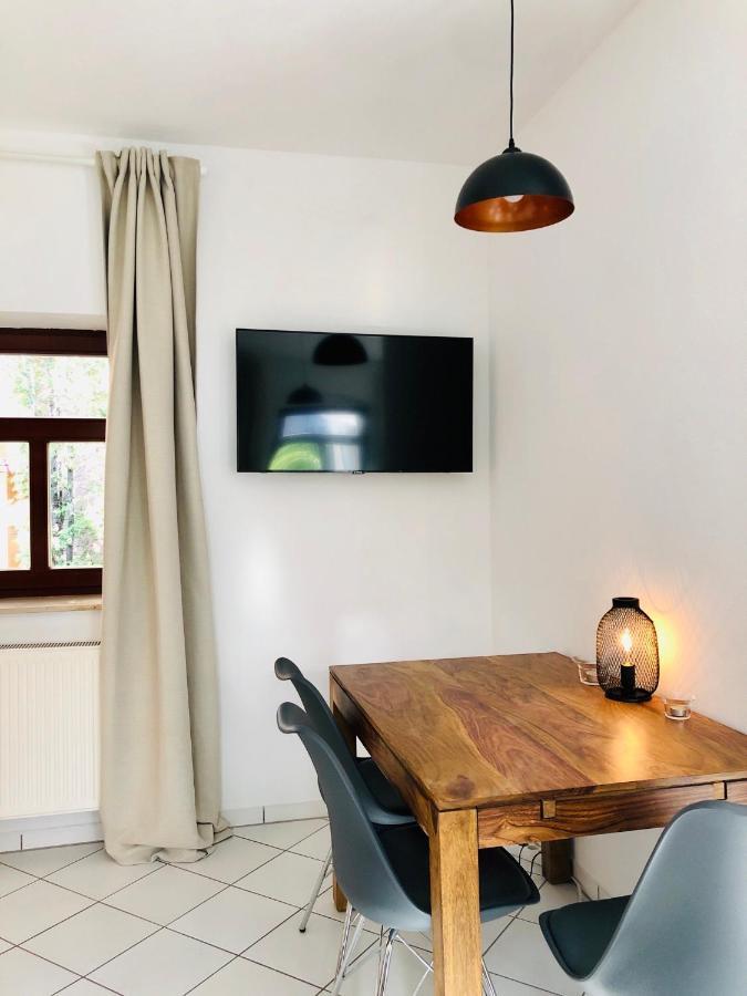 Ferienwohnungen Mit Terrasse In Zwingernaehe - Hilger Rentals Дрезден Экстерьер фото