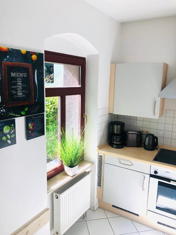 Ferienwohnungen Mit Terrasse In Zwingernaehe - Hilger Rentals Дрезден Экстерьер фото
